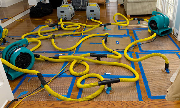 Professional Storm Water Damage Restoration technician working in Martinsville, IN